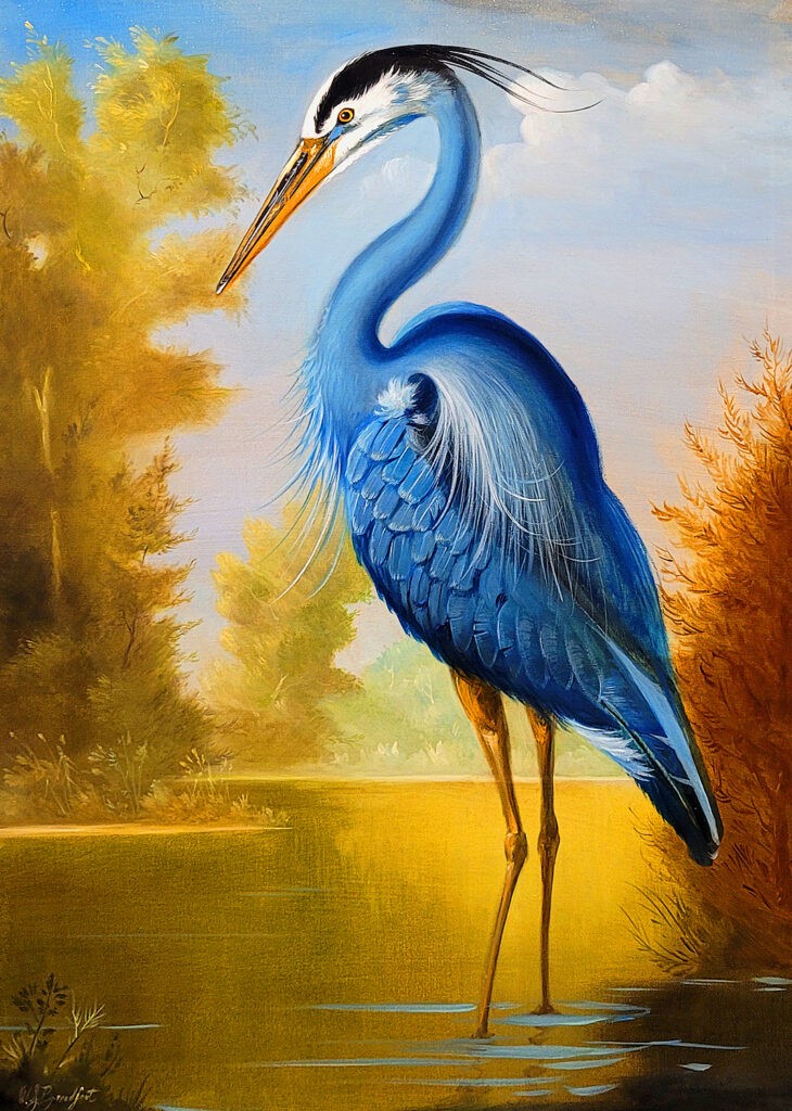 Great Blue Heron | Oil | 27 x 39 | Sold