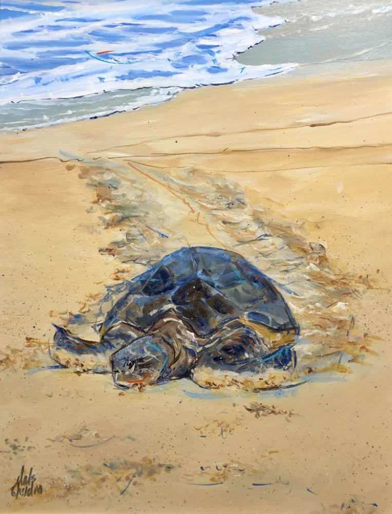 Dale Sheldon | Sea Turtle II | 18x14