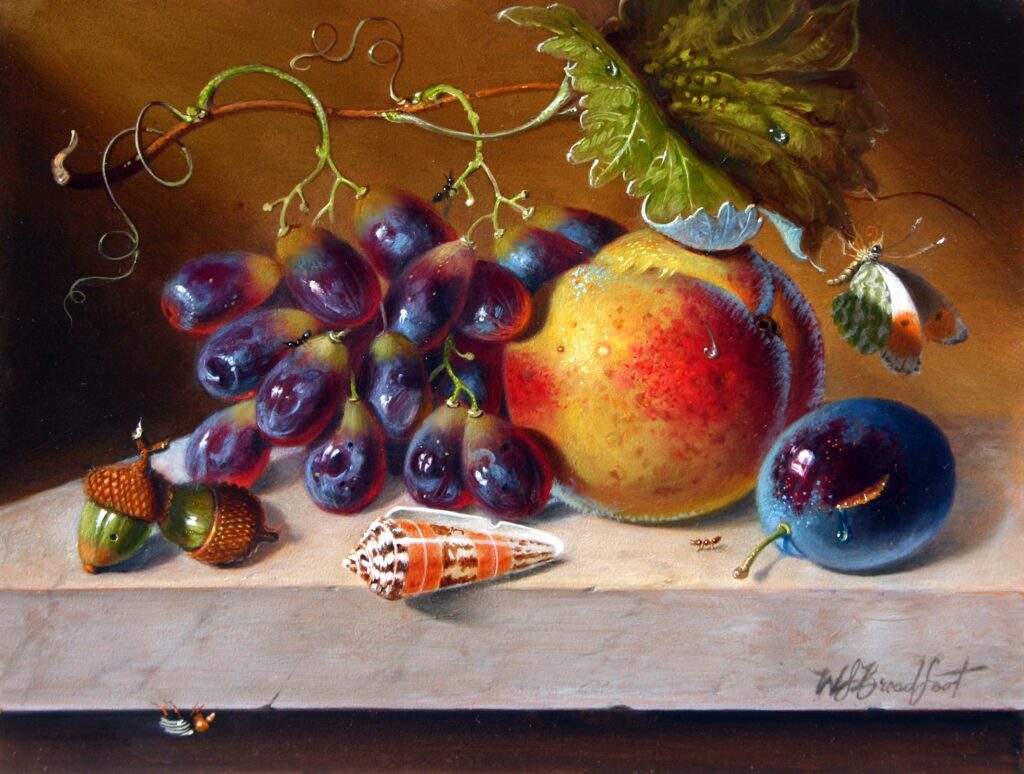 W. Scott Broadfoot | Still Life Fruit with Shell | Oil | 12 X 14 | Sold