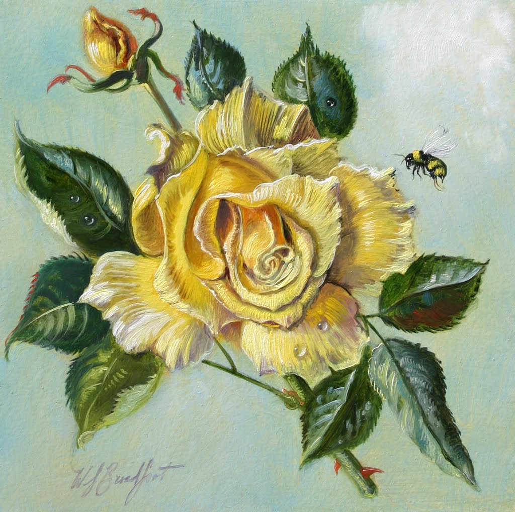Yellow Rose | Oil | 8 x 8 | Sold