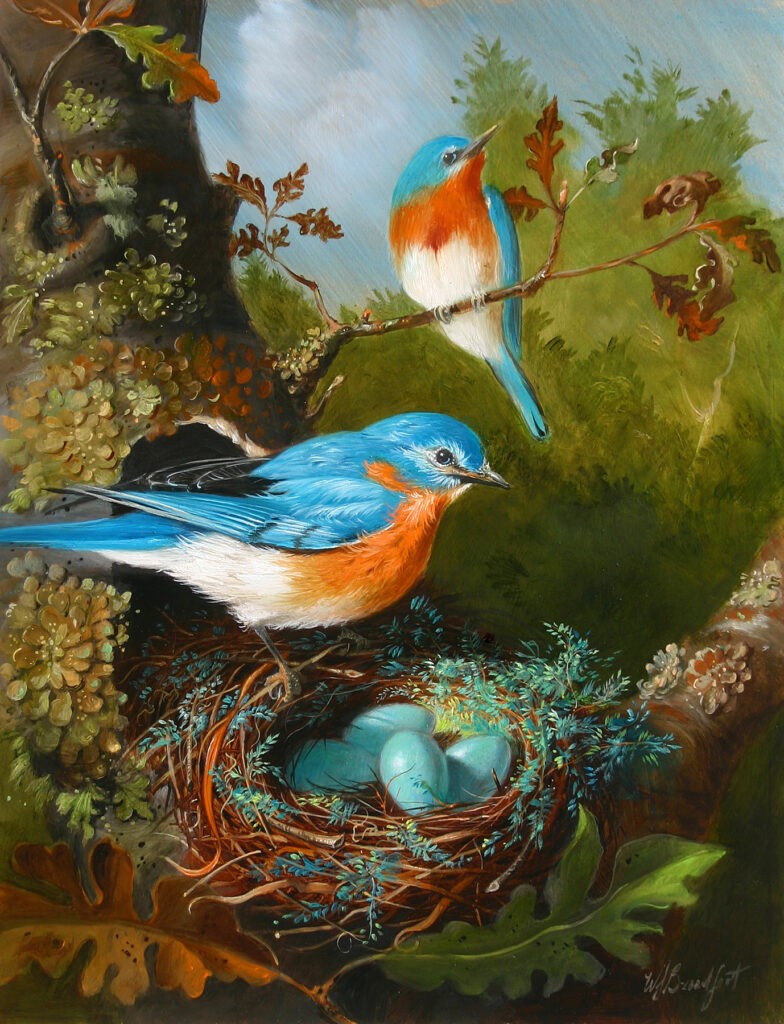 W. Scott Broadfoot | Bluebirds | Oil | 13 x 16 | Sold