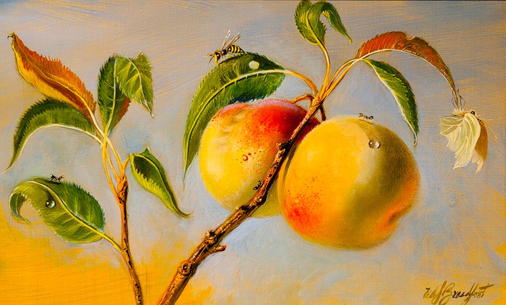 W.S. Broadfoot | Summer Peaches | Oil | 12 x 8| Sold