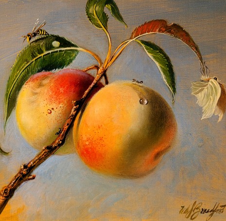 W.S. Broadfoot | Summer Peaches | Oil | 12 x 8| $500