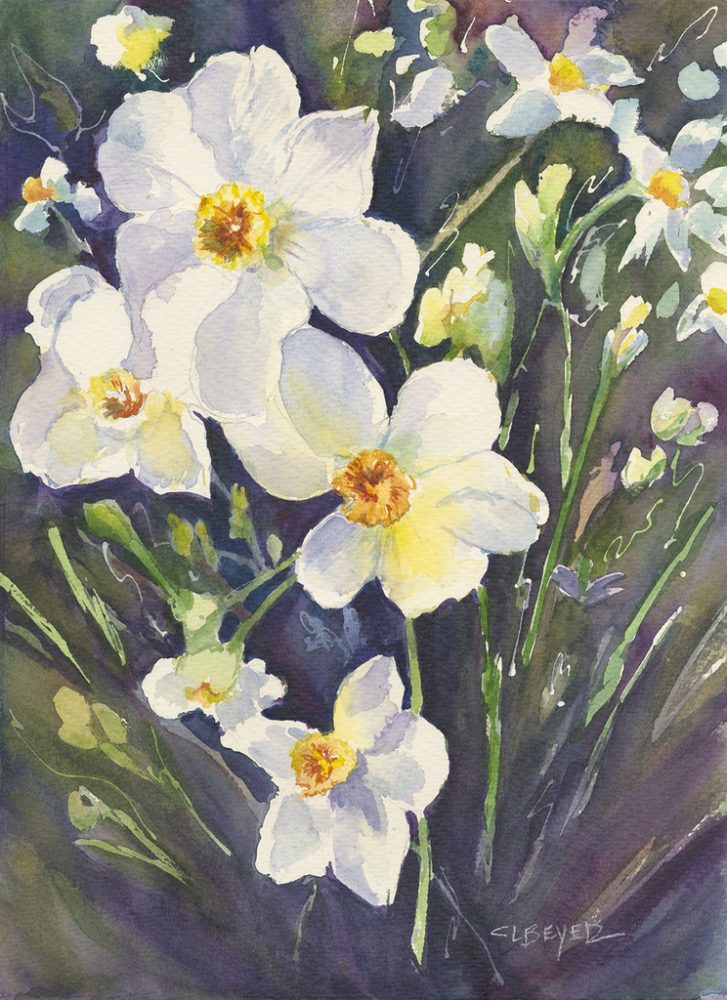 Cindy L. Beyer|Glowing Narcissus|watercolor