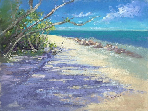 Cindy Beyer|Mangrove Beach|Sold