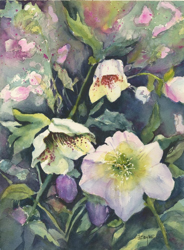 Cindy L. Beyer|Lenten Rose Glow|watercolor|