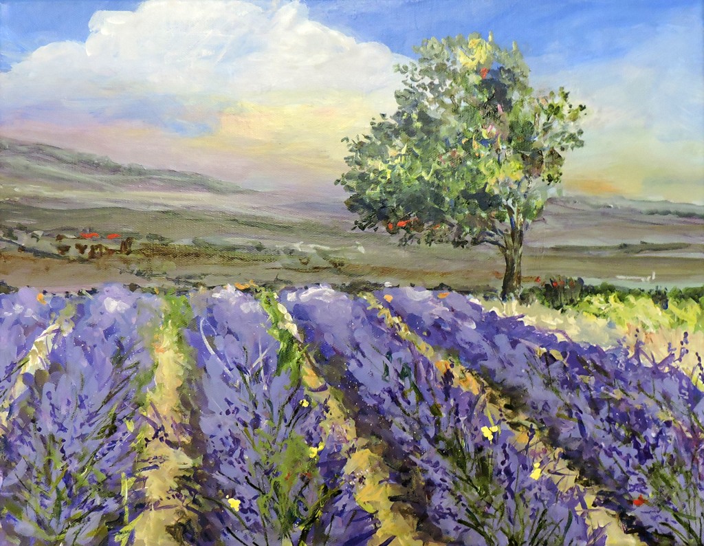 Dale Sheldon | Lavender Field Colors| Acrylic | 16x20 | Sold